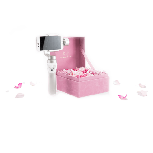 Buy Osmo Mobile Silver + Preserved Fresh Flower - DJI Store